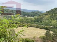 Vendita terreno agricolo RIGNANO SULL'ARNO