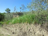 Vendita terreno agricolo EMPOLI