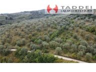 Vendita terreno agricolo SCANDICCI