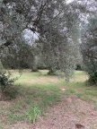 Vendita  Noto