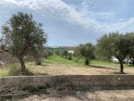Vendita  Noto