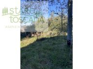 Vendita terreno agricolo MONTESPERTOLI