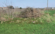 Vendita Terreno Agricolo Sorgà