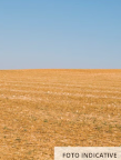 Vendita Terreno Agricolo Cison di Valmarino