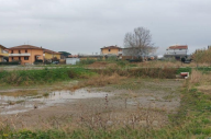 Vendita Terreno Edificabile Pieve a Nievole