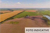 Vendita Terreno Agricolo Monteviale