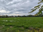 Vendita Terreno Agricolo Macerata