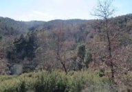 Vendita Terreno Agricolo Monte San Savino