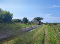 Vendita Terreno Agricolo Chioggia