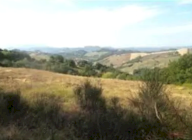 Vendita Terreno Agricolo Urbino