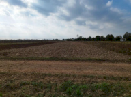 Vendita Terreno Agricolo Bertiolo