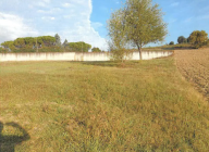 Vendita Terreno Edificabile Fano