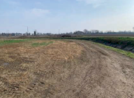 Vendita Terreno Agricolo Sorgà