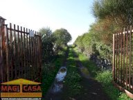 Vendita Terreno Agricolo Belpasso