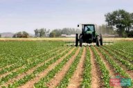 Vendita Terreno Agricolo Modena