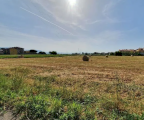 Vendita Terreno Agricolo Campi Bisenzio