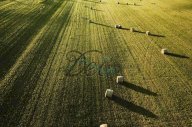Vendita Terreno Agricolo Capannori