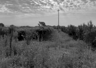 Vendita Terreno Agricolo Pescantina