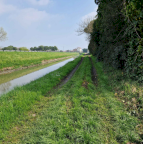 Vendita Terreno Agricolo Chioggia