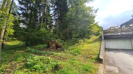 Vendita Terreno Edificabile Cibiana di Cadore