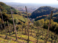 Vendita Terreno Agricolo Farra di Soligo