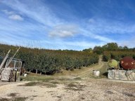 V Terreno agricolo Sasso Marconi