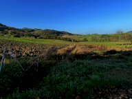 V Terreno residenziale Langhirano