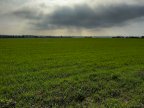 V Terreno agricolo Fidenza
