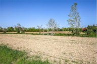 Vendita Terreno Agricolo Desenzano del Garda