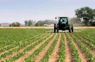 Vendita Terreno Agricolo Capannori
