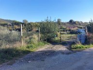 Vendita Terreno Agricolo Corciano