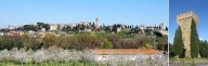 Vendita Terreno Edificabile Torgiano