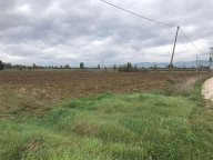 Vendita Terreno Agricolo Cannara