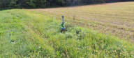 Vendita Terreno Agricolo Bonate Sotto