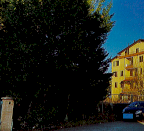 Vendita Terreno Agricolo Cento