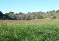 Vendita Terreno Agricolo Pesaro