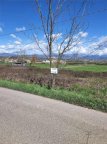 Vendita Terreno Agricolo Morolo
