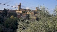 Vendita Terreno Agricolo Piegaro