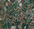 Vendita Terreno Agricolo Villafranca di Verona