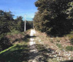 Vendita Terreno Agricolo Perugia