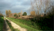 Vendita Terreno Agricolo Foligno