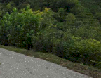 Vendita Terreno Agricolo Farra di Soligo