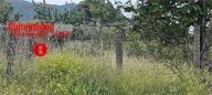 Vendita Terreno Agricolo Maddaloni