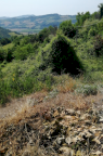 Vendita Terreno Agricolo Petritoli
