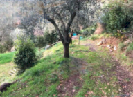Vendita Terreno Edificabile Pistoia