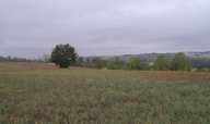 Vendita Terreno Edificabile Alessandria
