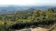 Vendita Terreno Agricolo Certaldo