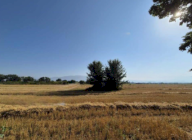 Vendita Terreno Agricolo Foligno