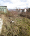 Vendita Terreno Edificabile Monterenzio