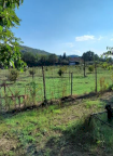 Vendita Terreno Agricolo Castrocaro Terme e Terra del Sole